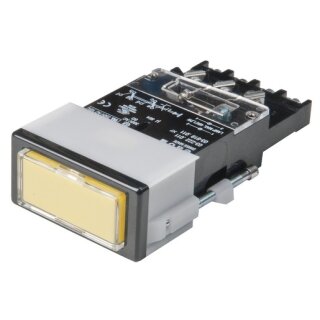EAO 03-617.011 Leuchtdrucktaste I SP 2U SCH 24x48 Ag