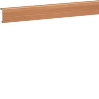 Hager SL200552D2 Sockelleistenkanal-OT PVC SL 20x55 D Bu