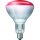 PHILIPS BR125 IR 250W E27 230-250V Red 1CT/10 InfraRed Industrial Heat Incandescent - IR lamp
