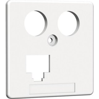 homeway HAXHSE-G0401-C045 Zentralplatte TV + LAN 50x50mm rw