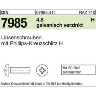 REYHER 07985.414.0060.020 D7985/LIS/4.8 M 6 x 20 -H gal Zn