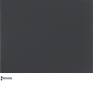 BERKER  85141175 Taste 1fach K.1 anthrazit matt