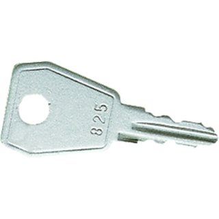 Jung 811 SL Schlüssel Typ 811