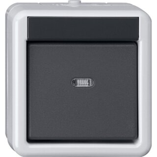 GIRA 515230 KNX Taster-BA 1f Kontrollf. + 2-Punkt WG AP Grau