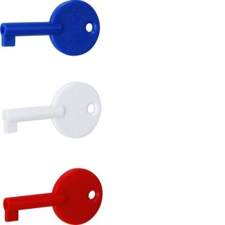 Hager RXE02D Ersatz-Schlüssel 3er Set