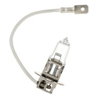 Bailey 70300008463 PKX22s 11.5X42 42V 67W 13911