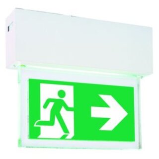 CEAG 1984 1-8h/D LED CGLine+ LED Einzelbatterieleuchte...
