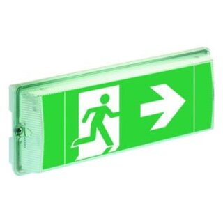 CEAG 6811 1-8h/D LED CGLine+ LED Einzelbatterieleuchte...