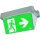 CEAG Atlantic LED D 1-8h/D CGLine+ LED Einzelbatterieleuchte IP65 mit autom. Funktionstest