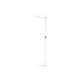 DOTLUX 4859-040240 LED-Stehleuchte STUDIObutler 80W 4000K...