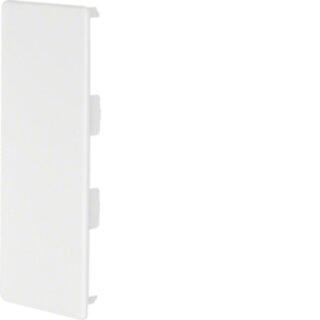 Hager LF6015069016 Endstück LF/LFF/LFH/FB 60x150mm...