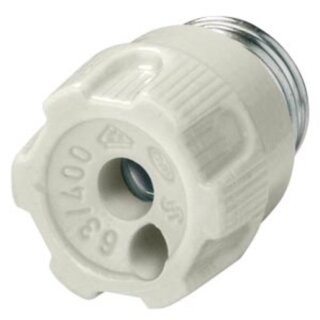 SIEMENS 5SH4317 NEOZED-Schraubkappe Porzellan...