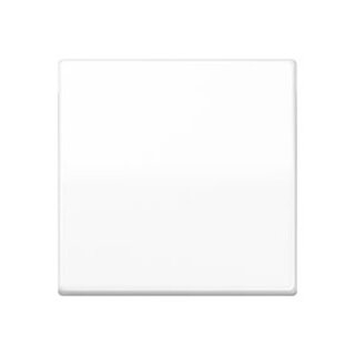 JUNG AS 1700 WW Steuertaste Standard, Duroplast, Serie...