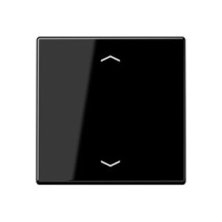 JUNG A 1700 BFP SW Steuertaste Standard, Symbol Pfeil,...