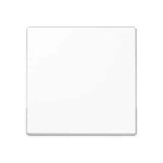 JUNG A 1700 BF WW Steuertaste Standard, Thermoplast,...