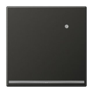 JUNG AL 1539-O AN LNW LED-Orientierungslicht mit...