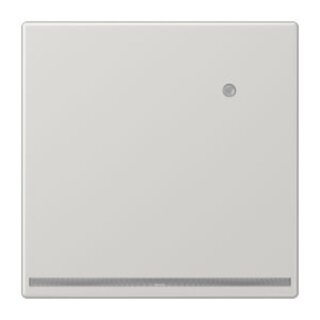 JUNG LS 1539-O LG LNW LED-Orientierungslicht mit...