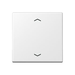 JUNG A 1700 BFP WWM Steuertaste Standard, Symbol Pfeil,...