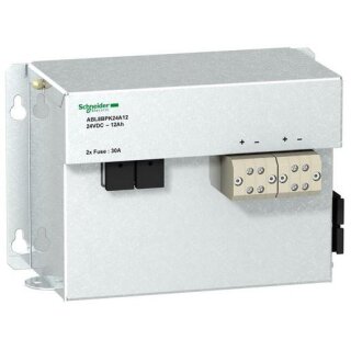 Schneider Electric ABL8BPK24A03 Batteriemodul mit 3,2 Ah,...
