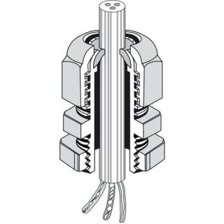 Hensel AKM 25 Anbau-Kabelstutzen, IP66/IP67/IP69, M 25...