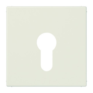 Jung LS 925 Abdeckung für Schlüsselschalter...