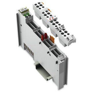 WAGO 753-406 2-Kanal-Digitaleingang;AC 120 V;;lichtgrau