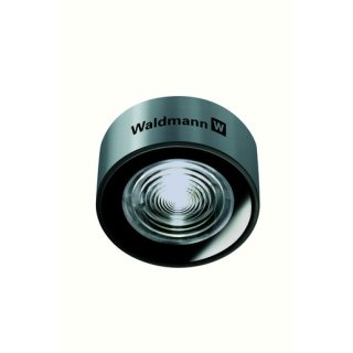 Waldmann 113155000-00646485 MASCHINENLEUCHTE HEADLED - MCAYL 4 S/ALU/100°/DC
