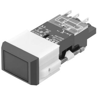 EAO 02-619.011 Leuchtdrucktaste R SP 2 U SCH 24x36 Ag
