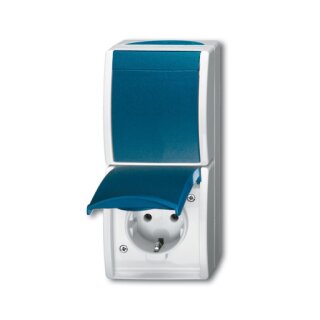 Busch-Jaeger 2601/6/20 EW-53 Kombination SCHUKO...