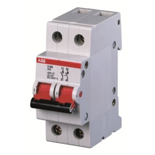 ABB E202/25G E202/25G Trennschalter 2P,25A,Schaltgriff grau