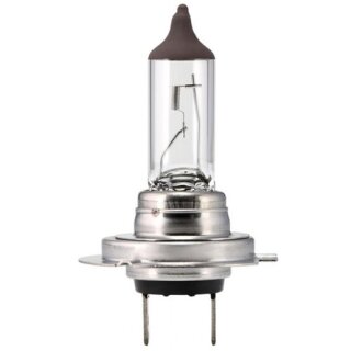 81146 Autolampe Halogen mit 1 Leuchtmittel, H7 PX26d 24V 70W