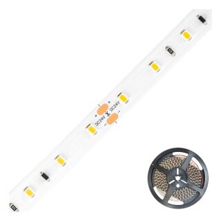 EVN ICSB2024302802 Niedervolt LED-Strip, IP20, kürzbar