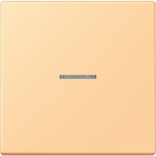 JUNG BT LC 17101 258 HOME Taster 1fach, Duroplast lackiert, Serie LS, terre sien
