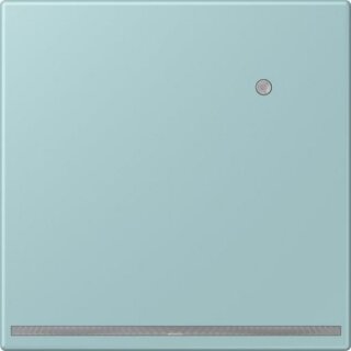JUNG LC 1539-O LNW 214 LED-Orientierungslicht mit...