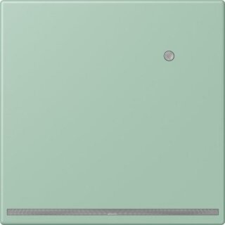 JUNG LC 1539-O LNW 217 LED-Orientierungslicht mit...