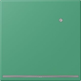 JUNG LC 1539-O LNW 250 LED-Orientierungslicht mit...