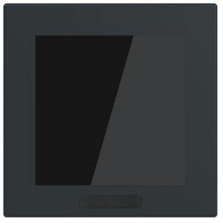 Busch-Jaeger SD/U12.63.11-825 Display 2,4"...