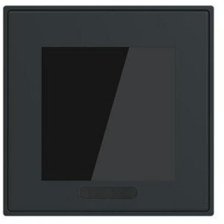 Busch-Jaeger SD/U12.70.11-4015 Display 2,4"...