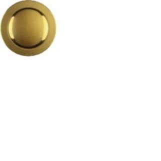 Elcom REH017Y ESK-252 Ruftaster Edelst. PVD Messing