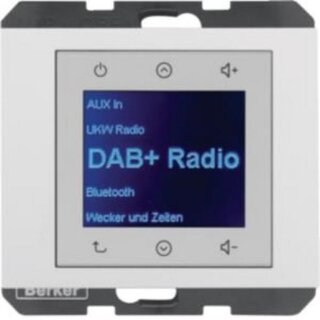 BERKER  29847009 Radio DAB+, K.x pw., gl.