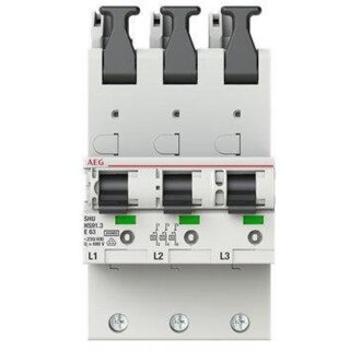 AEG HS91.3E63SAV HS91.3E63SAV - Sel. Haupt-LS SHU 25kA...