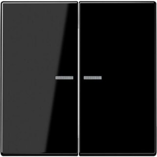 JUNG BT LS 17102 SW HOME Taster 2fach, Duroplast, Serie...