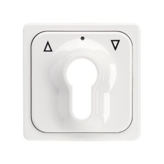 Elso 203034 Zentralplatte für Schlüsselschalter...