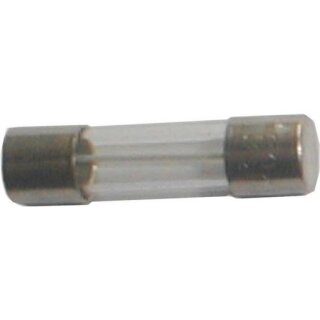 Siba 172100.6,3 GZ  6,3A M 250V E 5x20mm